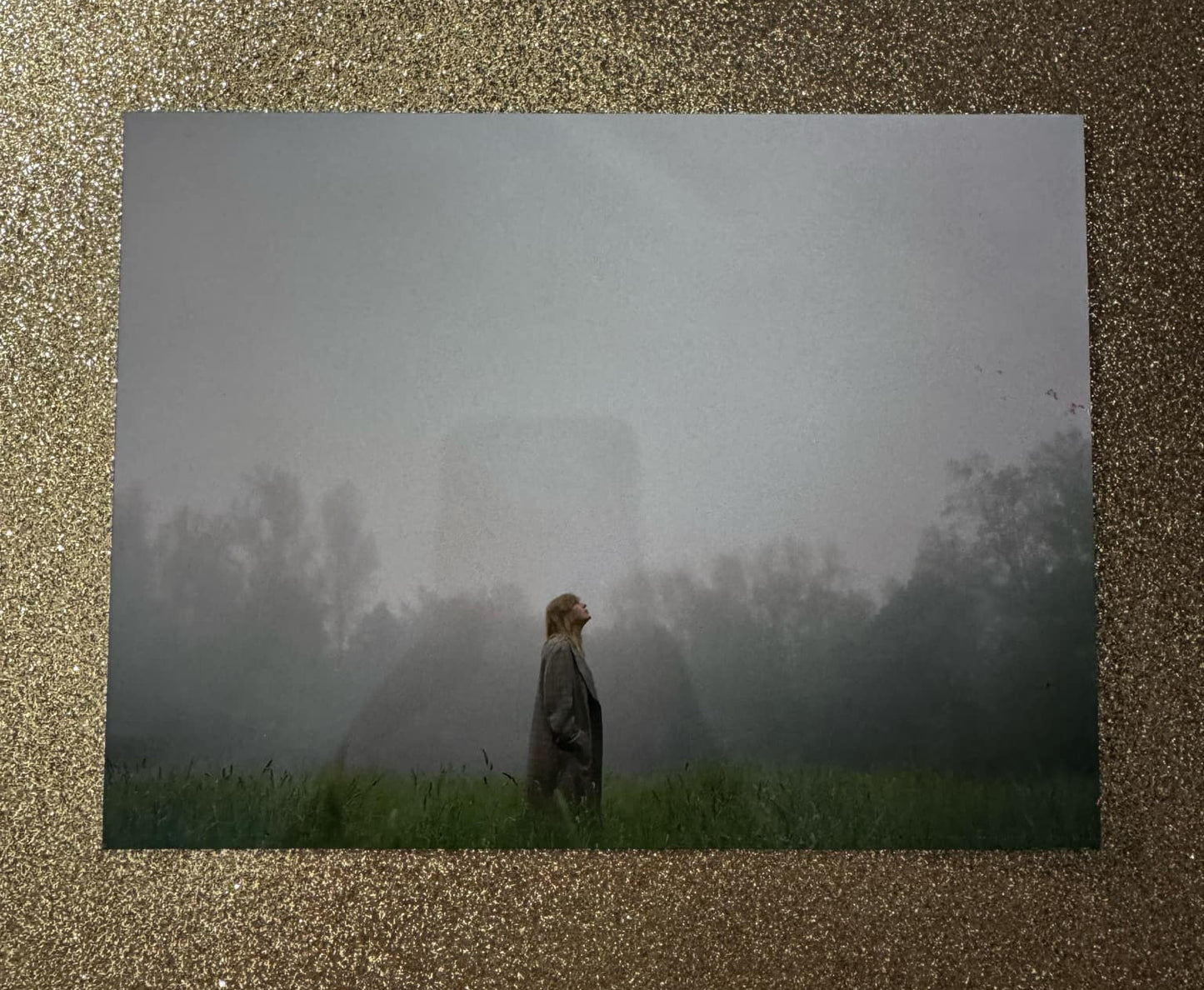 Litho dupes - aluminium print - 20x15cm