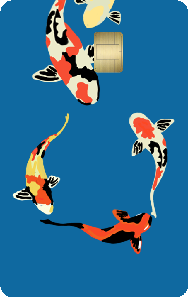 Credit card skins