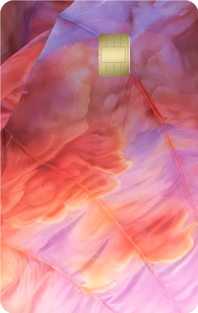 Credit card skins