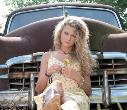 Christmas decoration - Fate of Ophelia edition