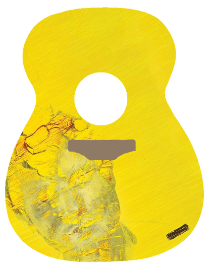 Ed Sheeran guitars