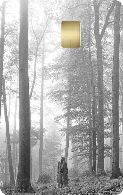 Credit card skins
