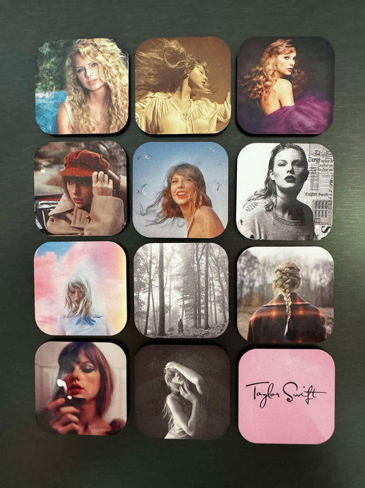 Taylor Swift magnets