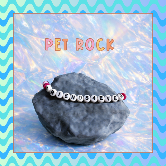 PET ROCK™ — FRIENDS4EVER EDITION