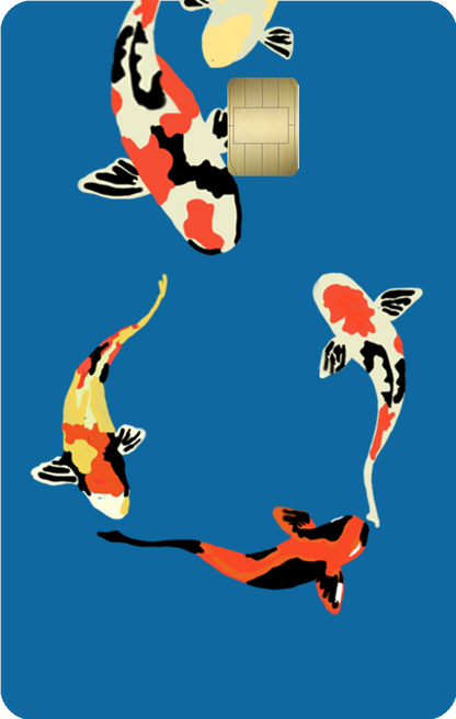 Credit card skins