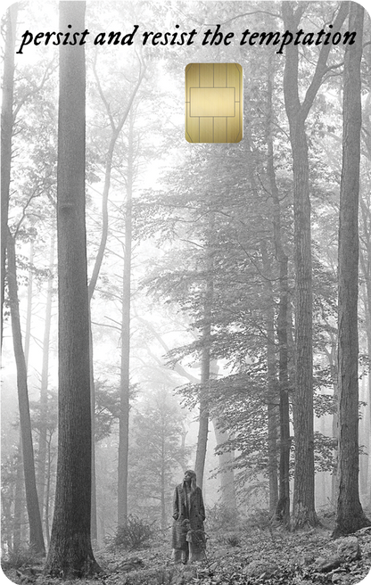 Credit card skins