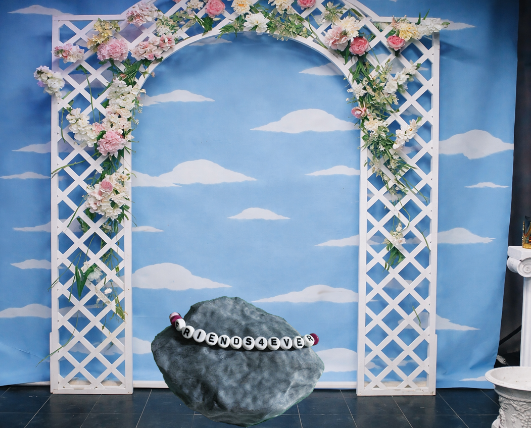 PET ROCK™ — FRIENDS4EVER EDITION